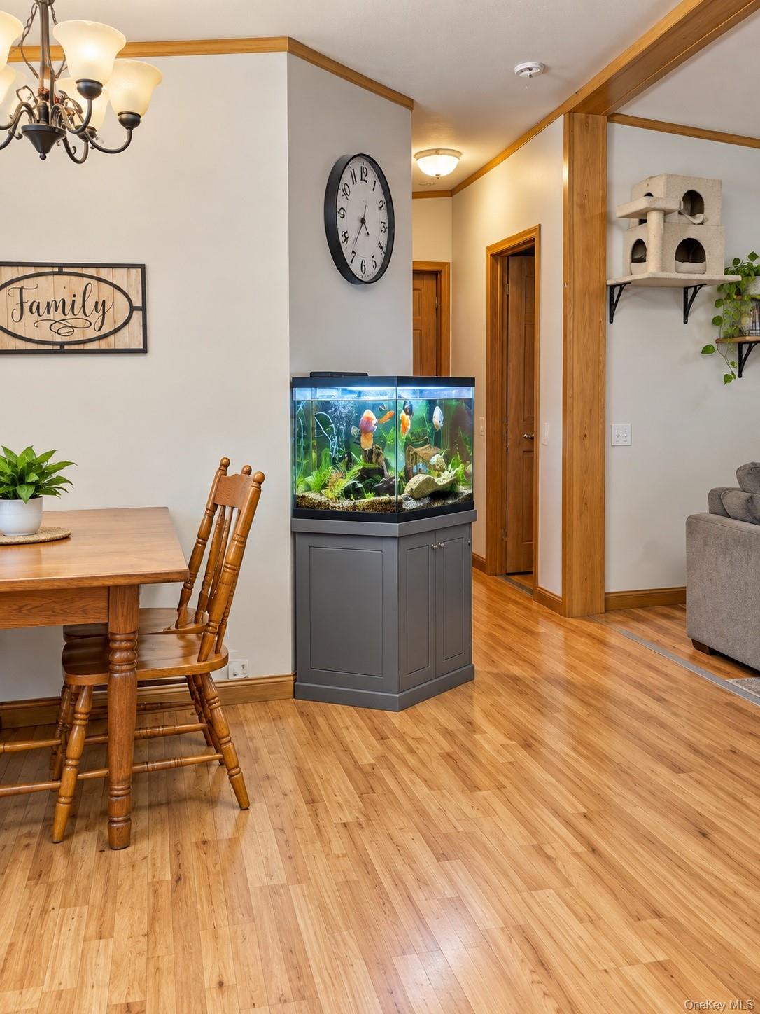 13 Academy Street – For Sale photo 6