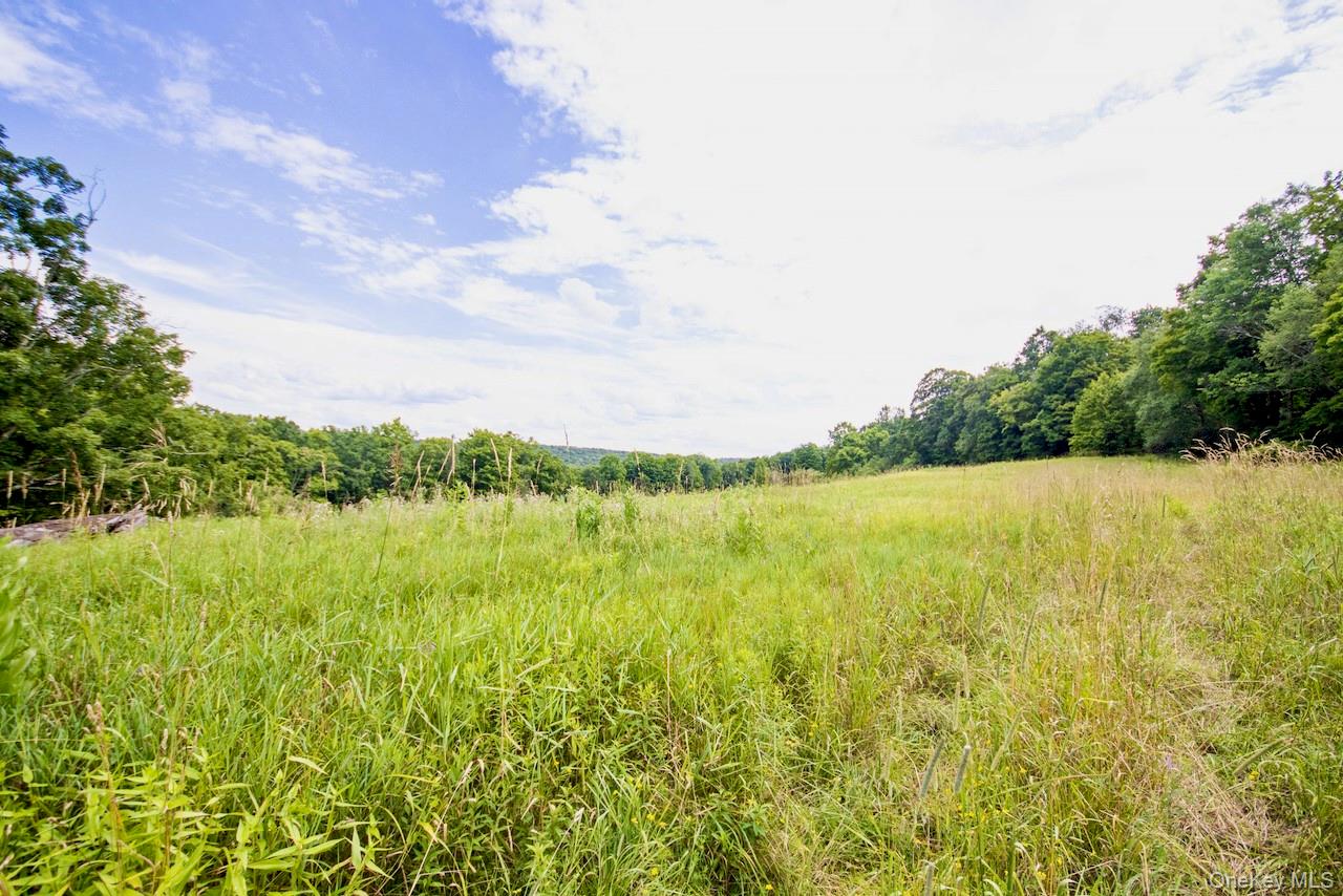668 Starlight Road – For Sale photo 19