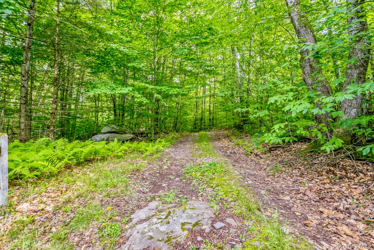 668 Starlight Road – For Sale photo 29