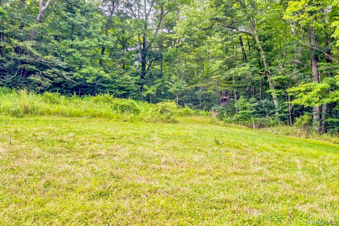 668 Starlight Road – For Sale photo 23