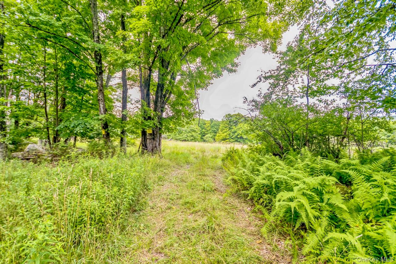 668 Starlight Road – For Sale photo 14