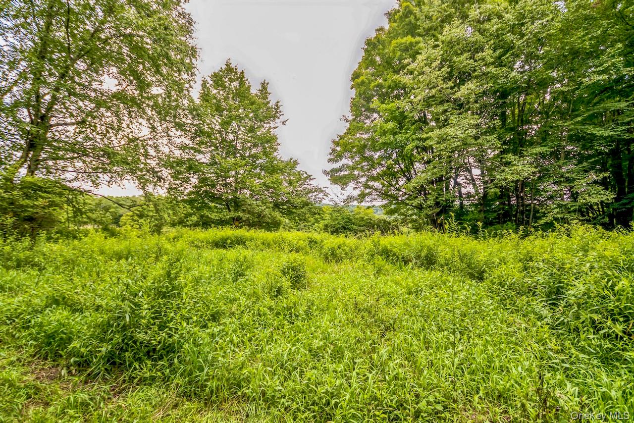 668 Starlight Road – For Sale photo 13