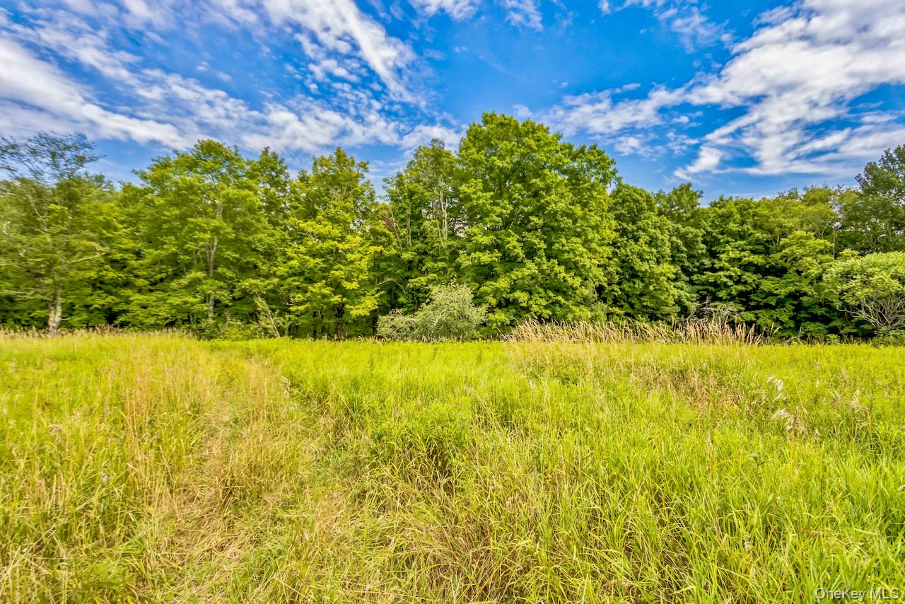 668 Starlight Road – For Sale photo 20