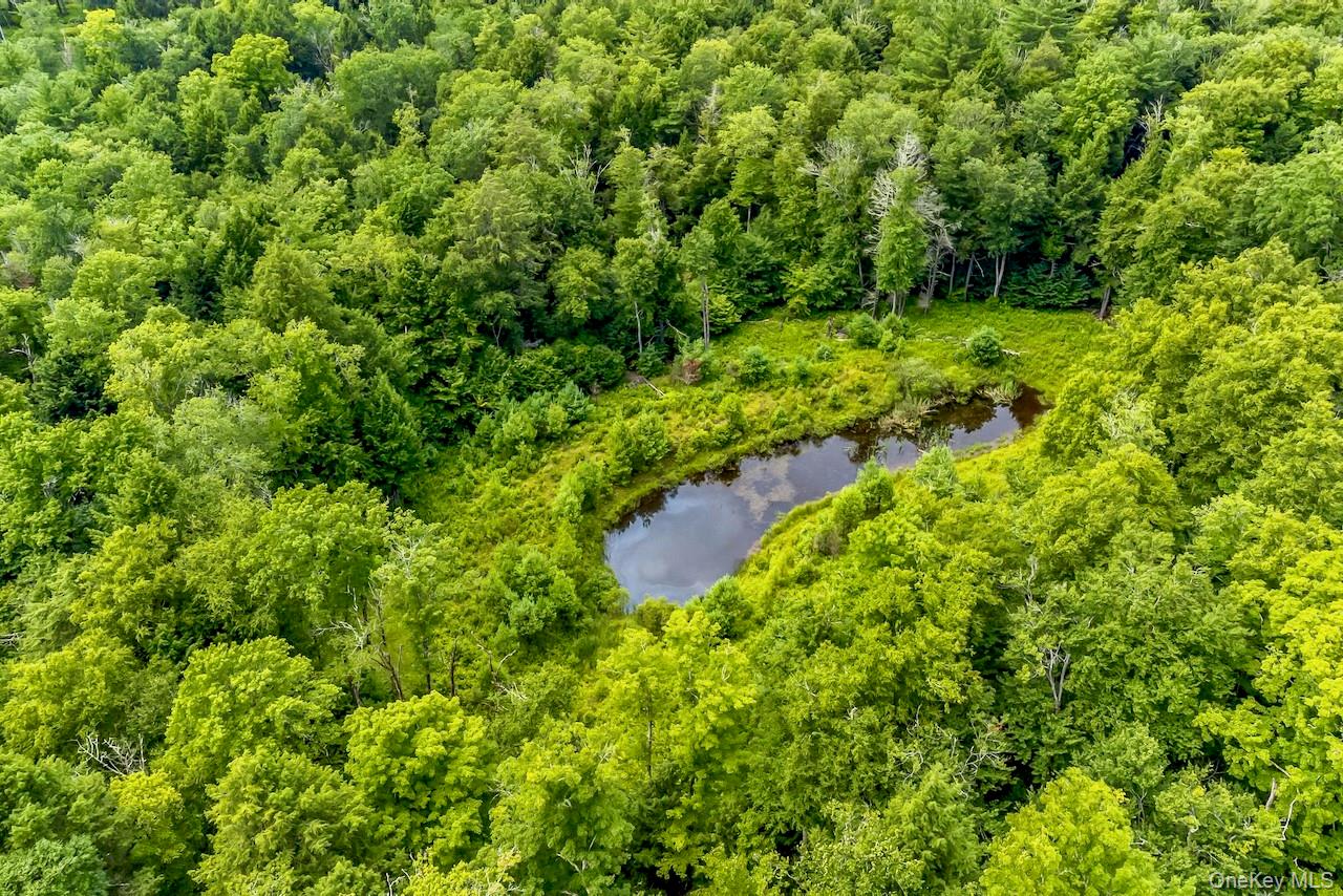668 Starlight Road – For Sale photo 5