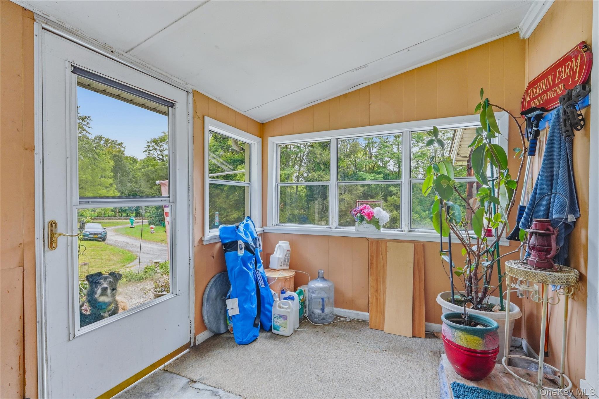 5 Douglas Drive – For Sale photo 27