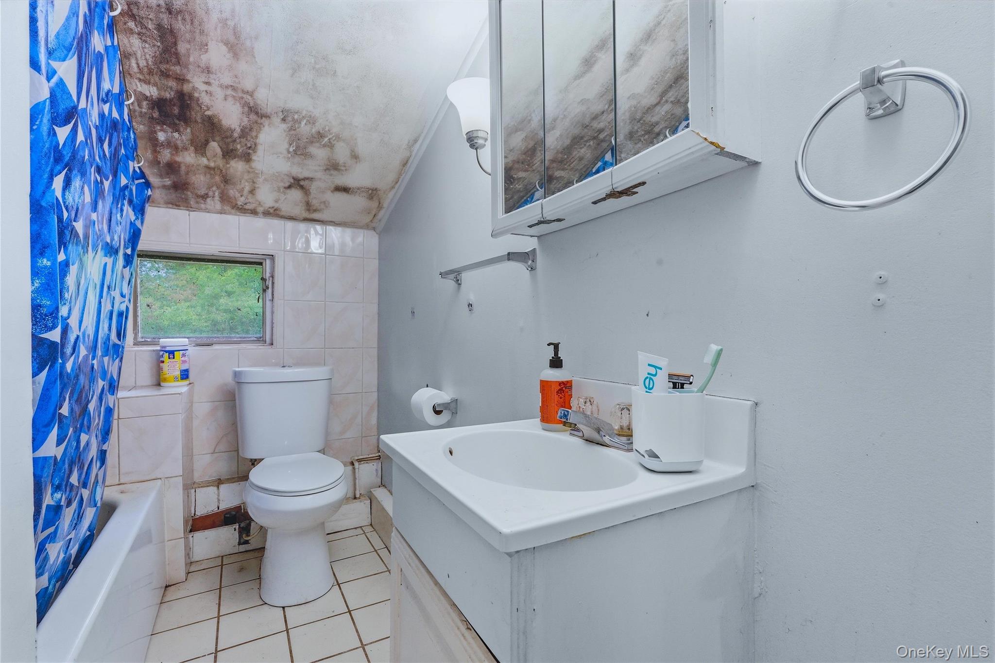 5 Douglas Drive – For Sale photo 38