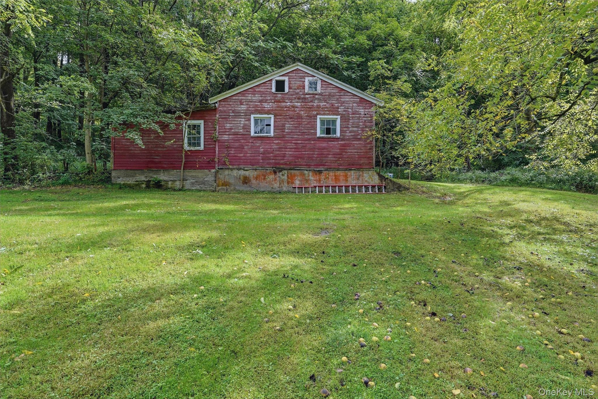 5 Douglas Drive – For Sale photo 46