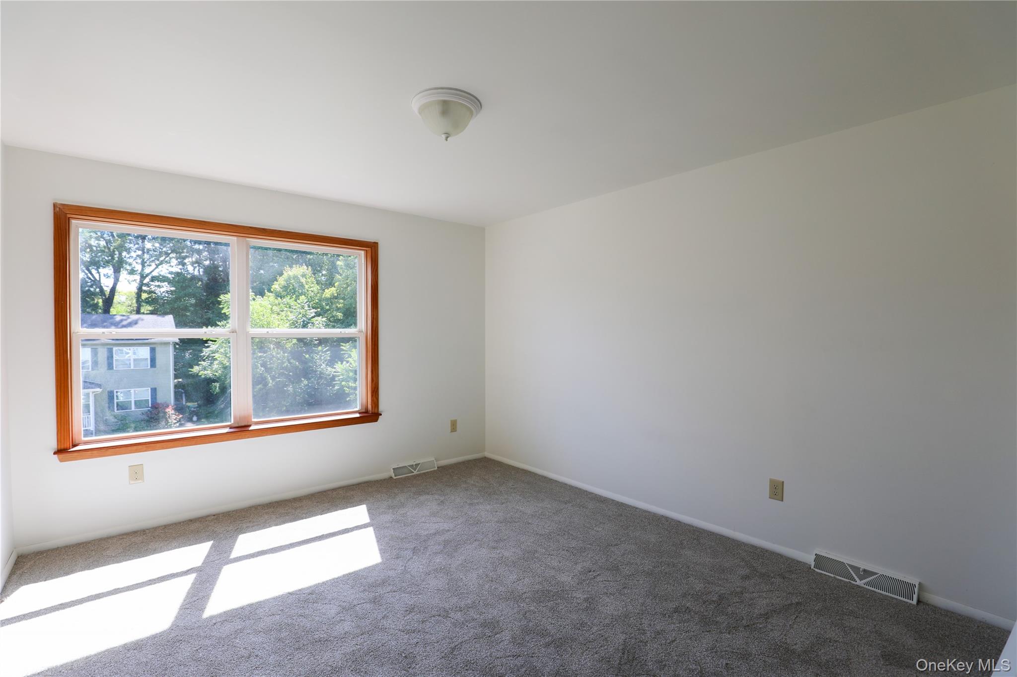 217 Hasbrouck Avenue, Unit B photo 14