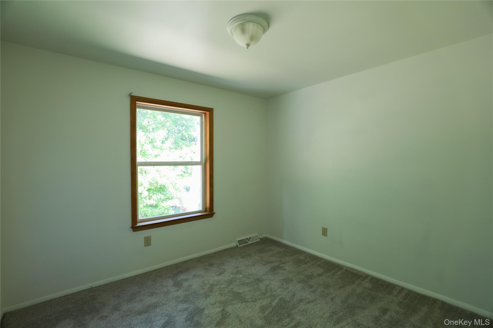 217 Hasbrouck Avenue, Unit B photo 10