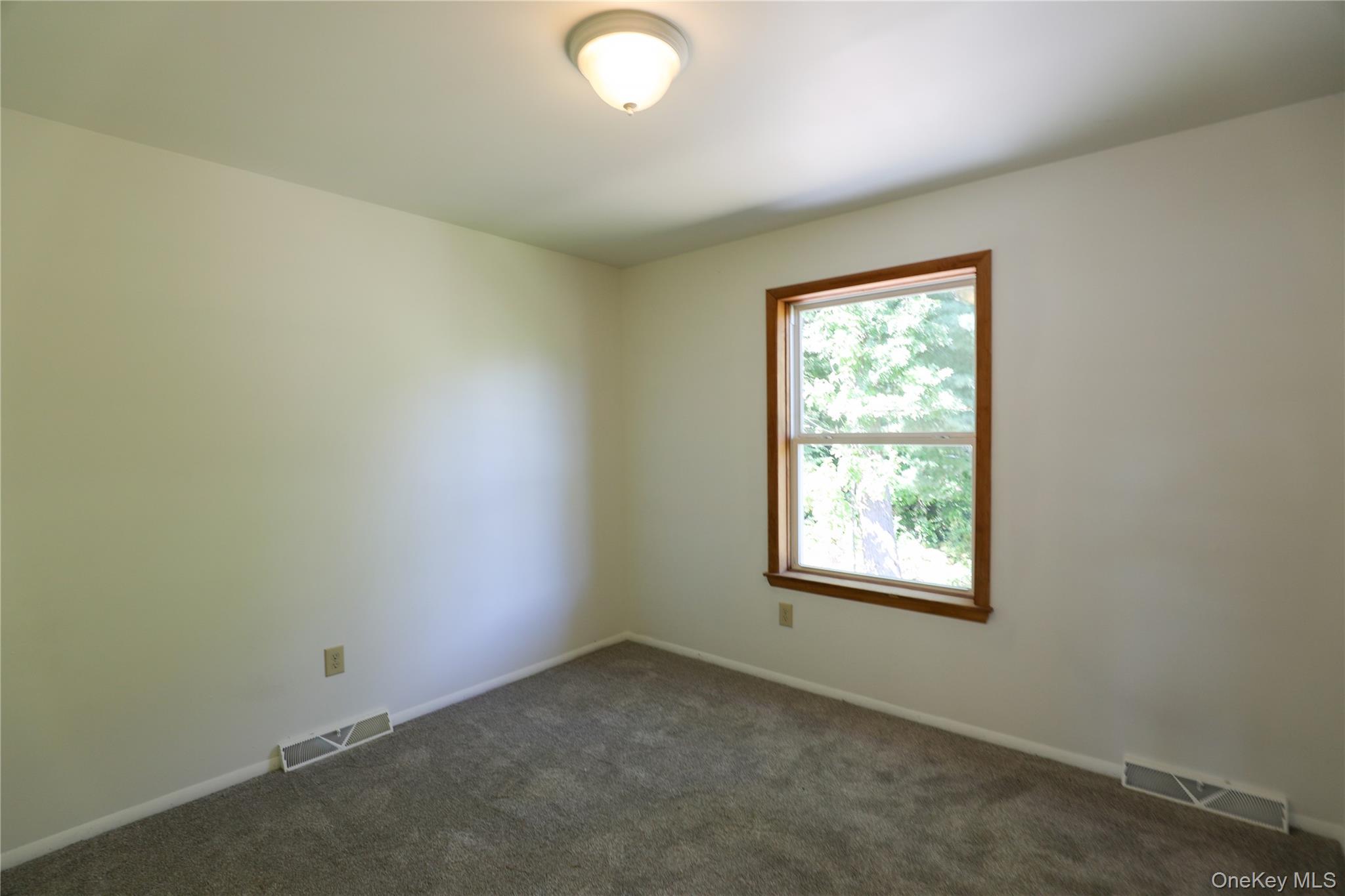 217 Hasbrouck Avenue, Unit B photo 12