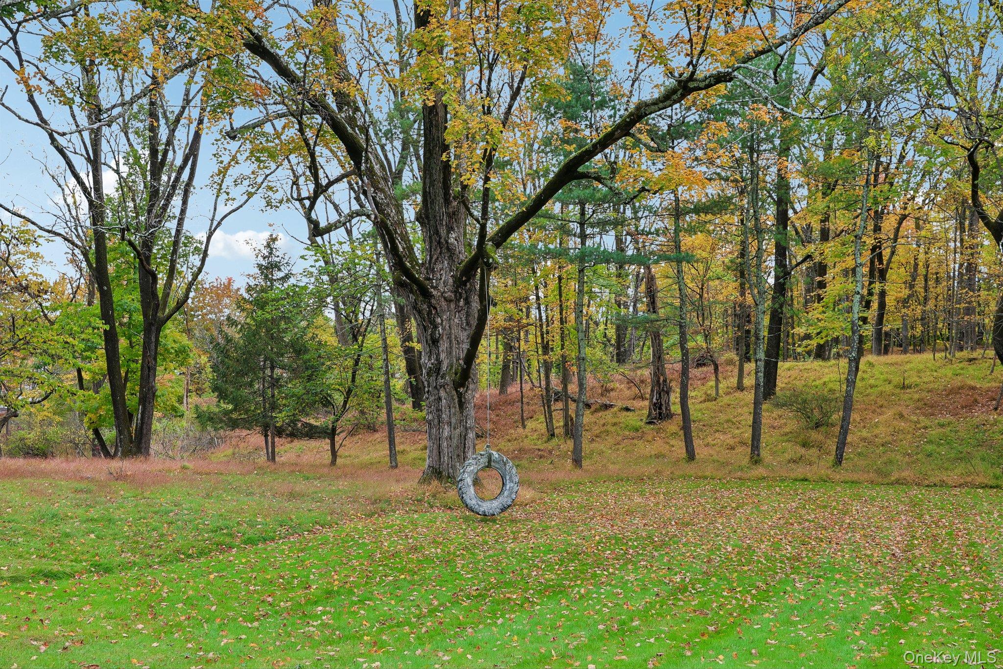 59 Webb Road – For Sale photo 47