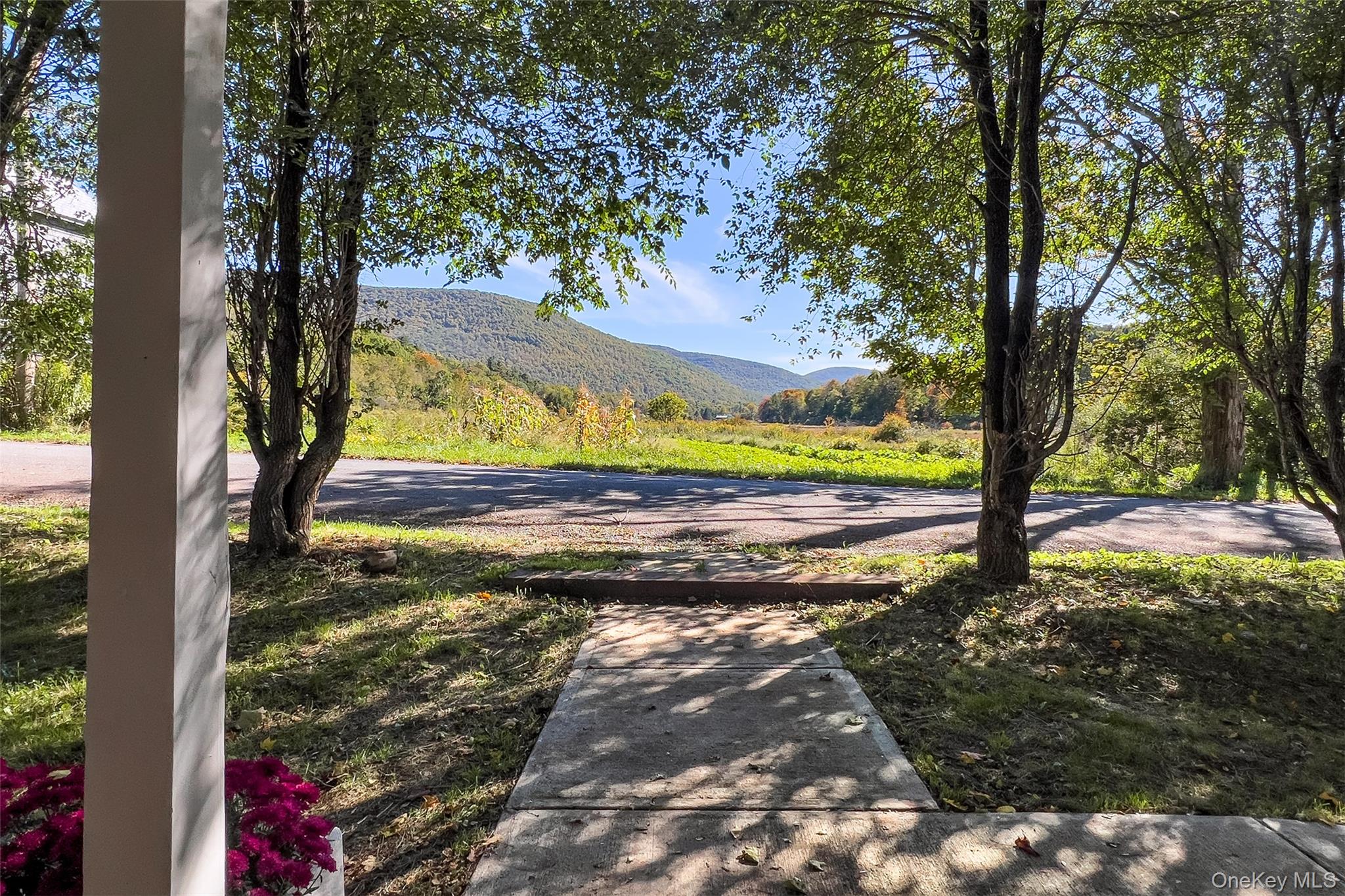 71 Teichman Road – For Sale photo 8