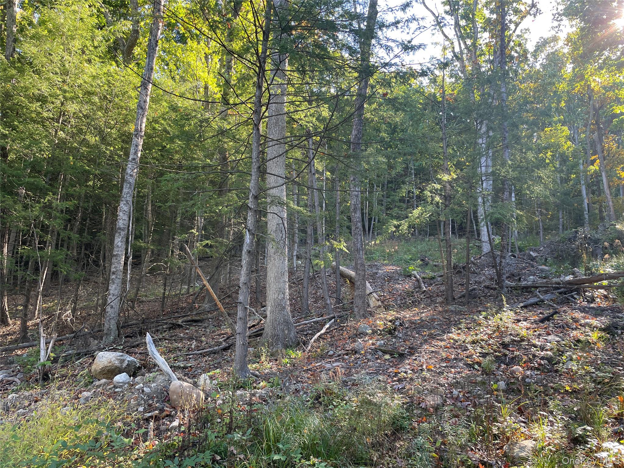 Mamakating Road – For Sale photo 5