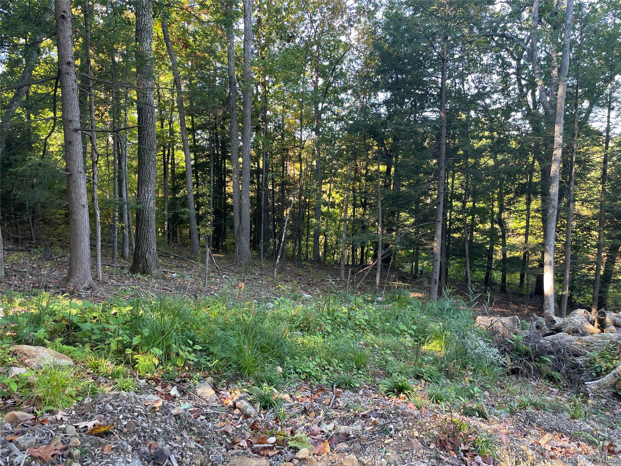 Mamakating Road – For Sale photo 2