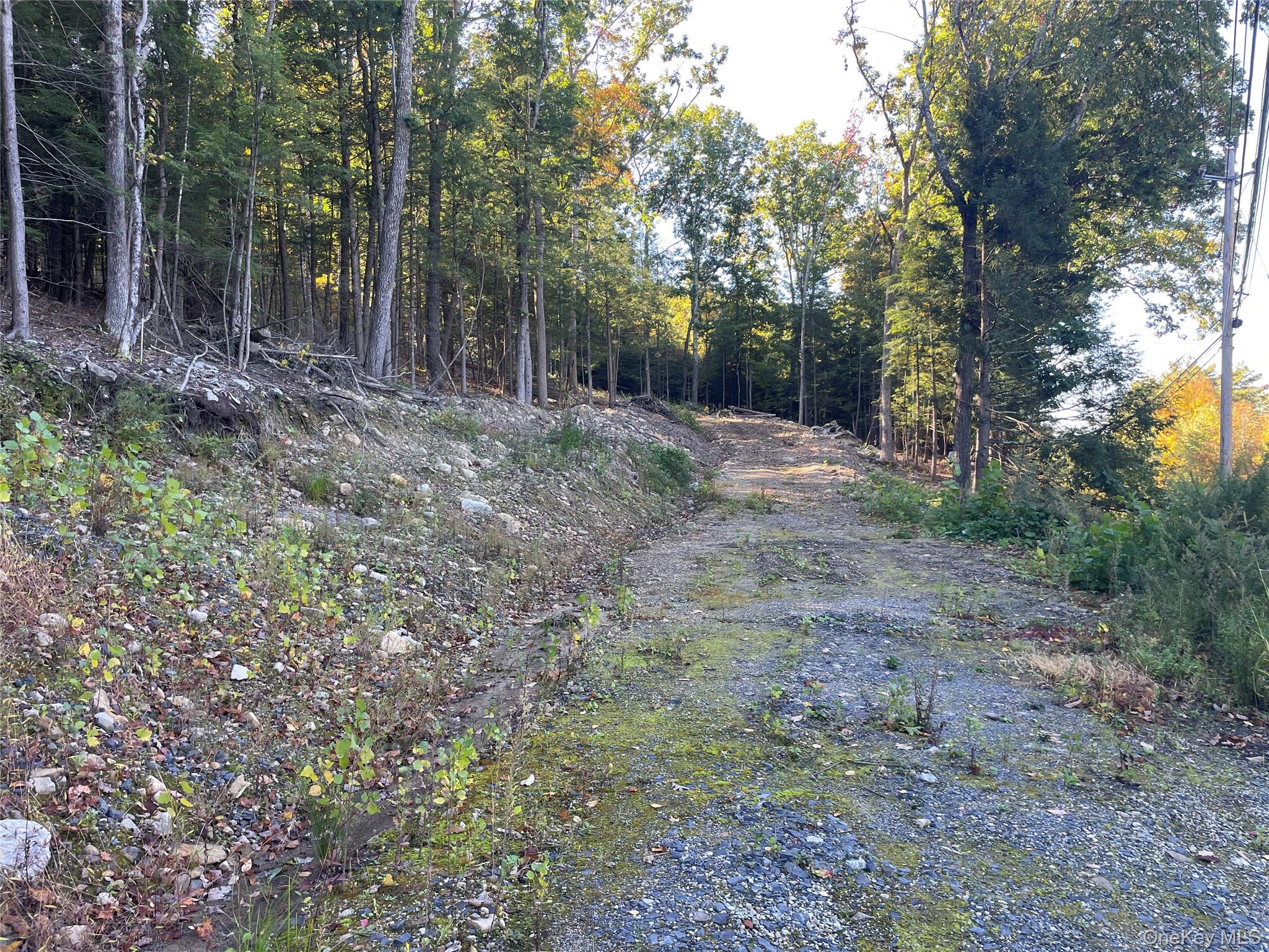 Mamakating Road – For Sale
