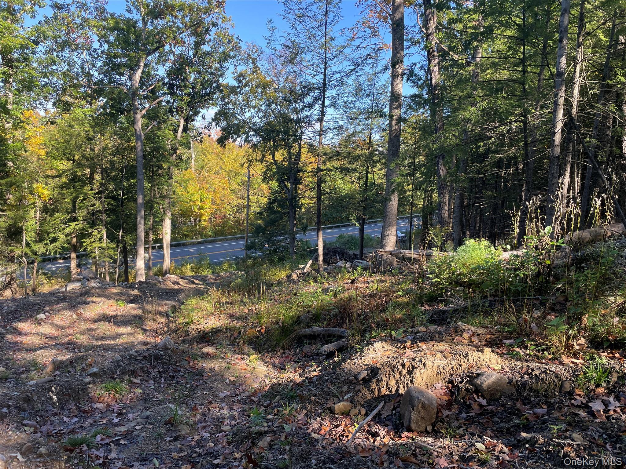 Mamakating Road – For Sale photo 3
