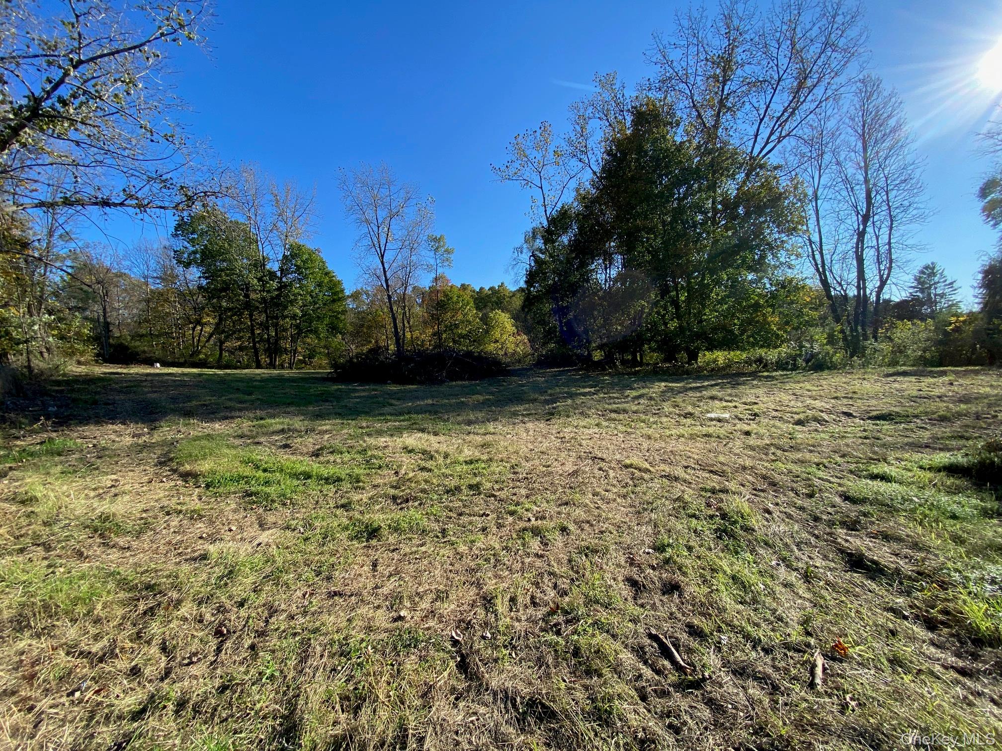 Route 343 – For Sale photo 3
