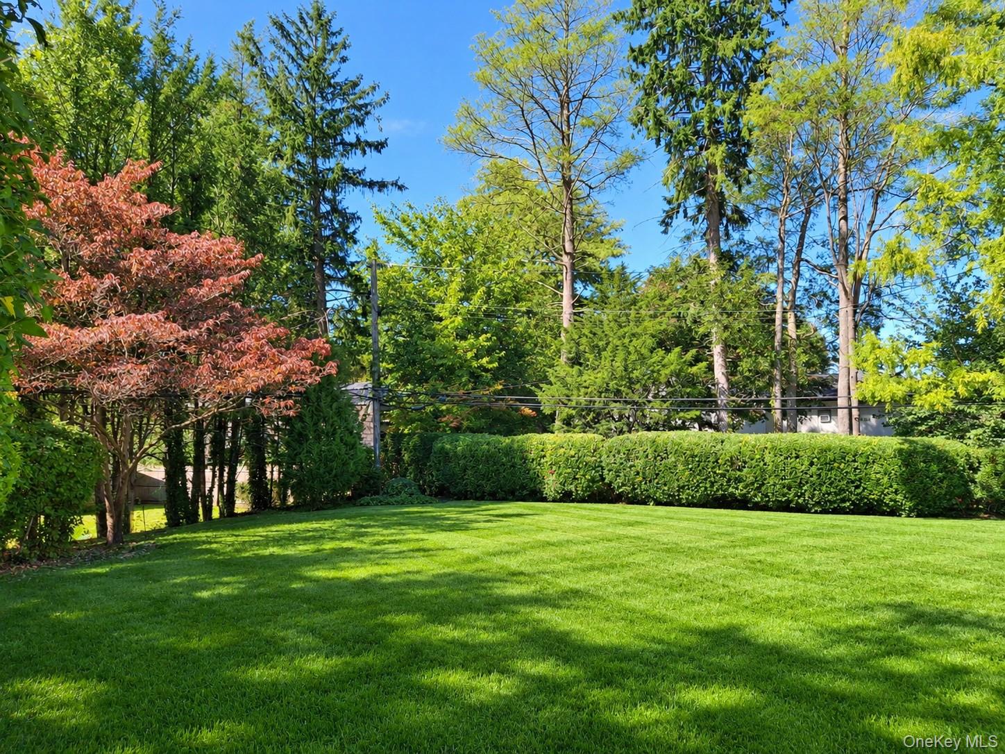 15 Sherwood Road – For Sale photo 10