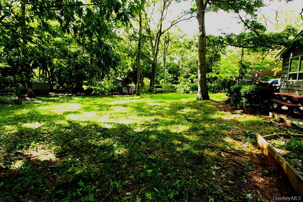 16 Argyle Place – For Sale photo 34