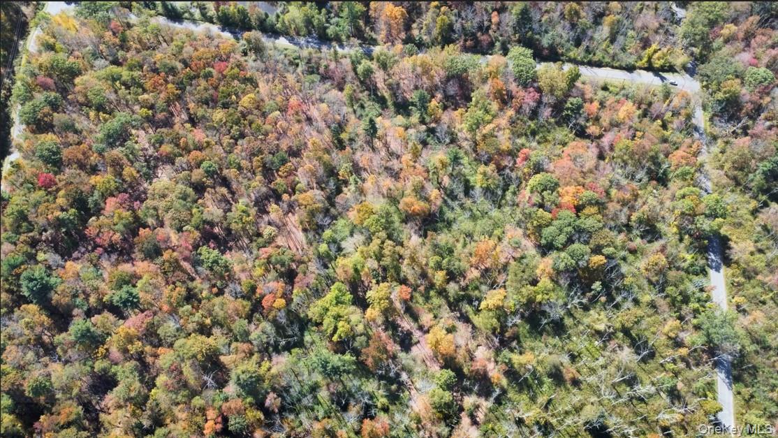 TBD (East Lot) W Hill Road – For Sale photo 6