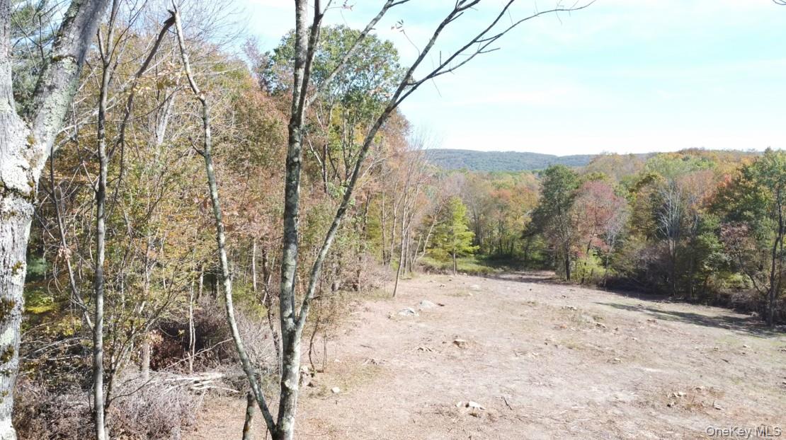 TBD (East Lot) W Hill Road – For Sale photo 3