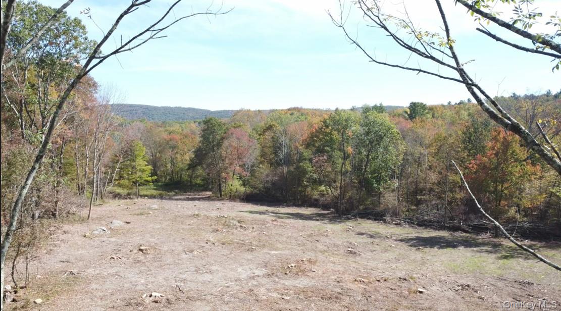 TBD (East Lot) W Hill Road – For Sale photo 2