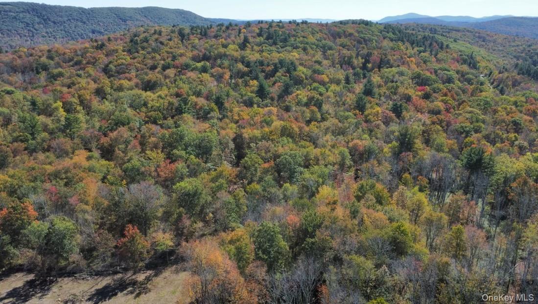 TBD (East Lot) W Hill Road – For Sale photo 5
