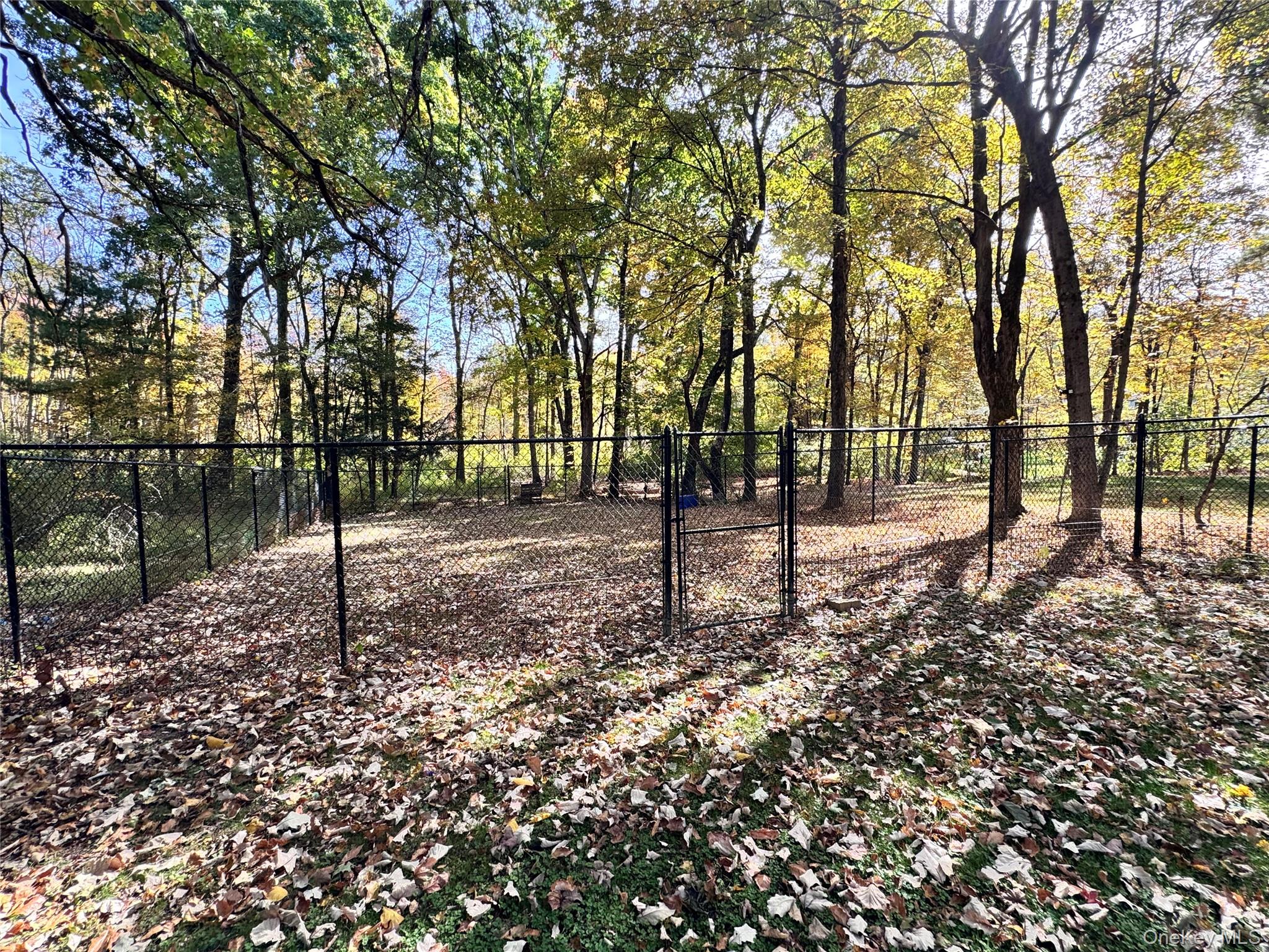 25 Rymph Boulevard – For Sale photo 4
