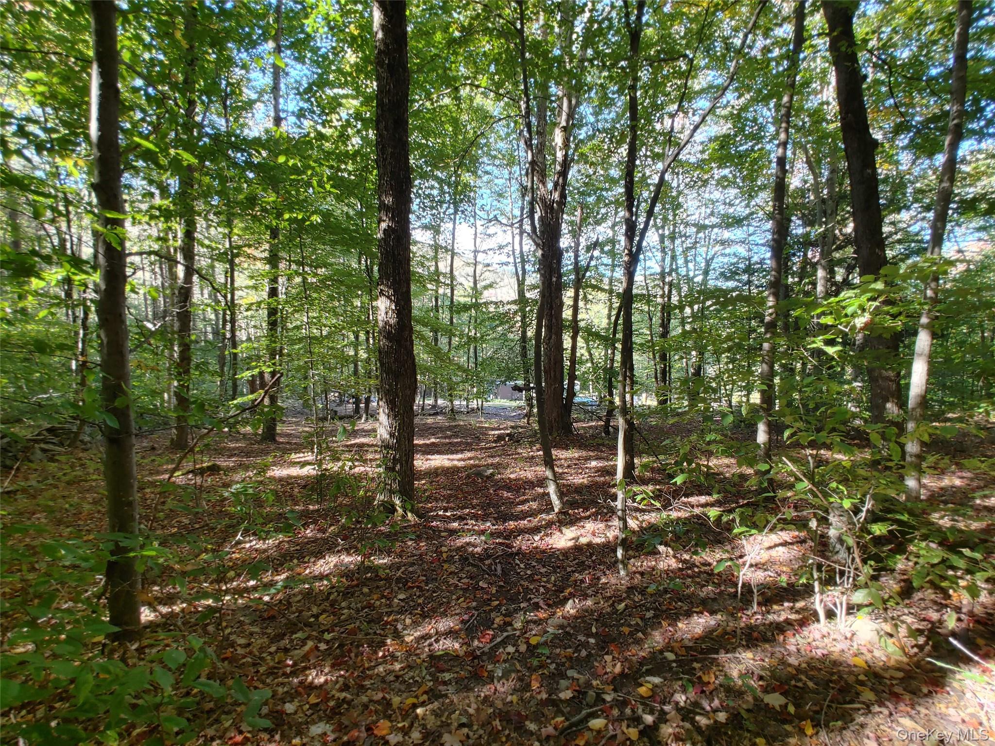27 Warren Todd Subdivision Drive – For Sale photo 19