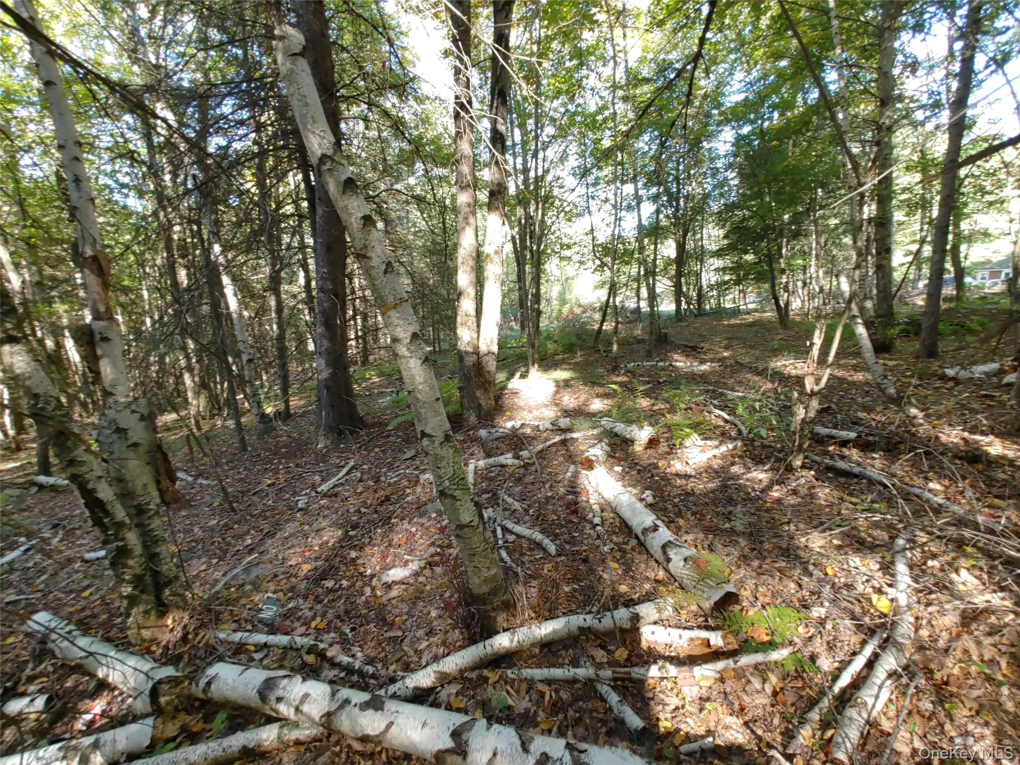 27 Warren Todd Subdivision Drive – For Sale photo 4