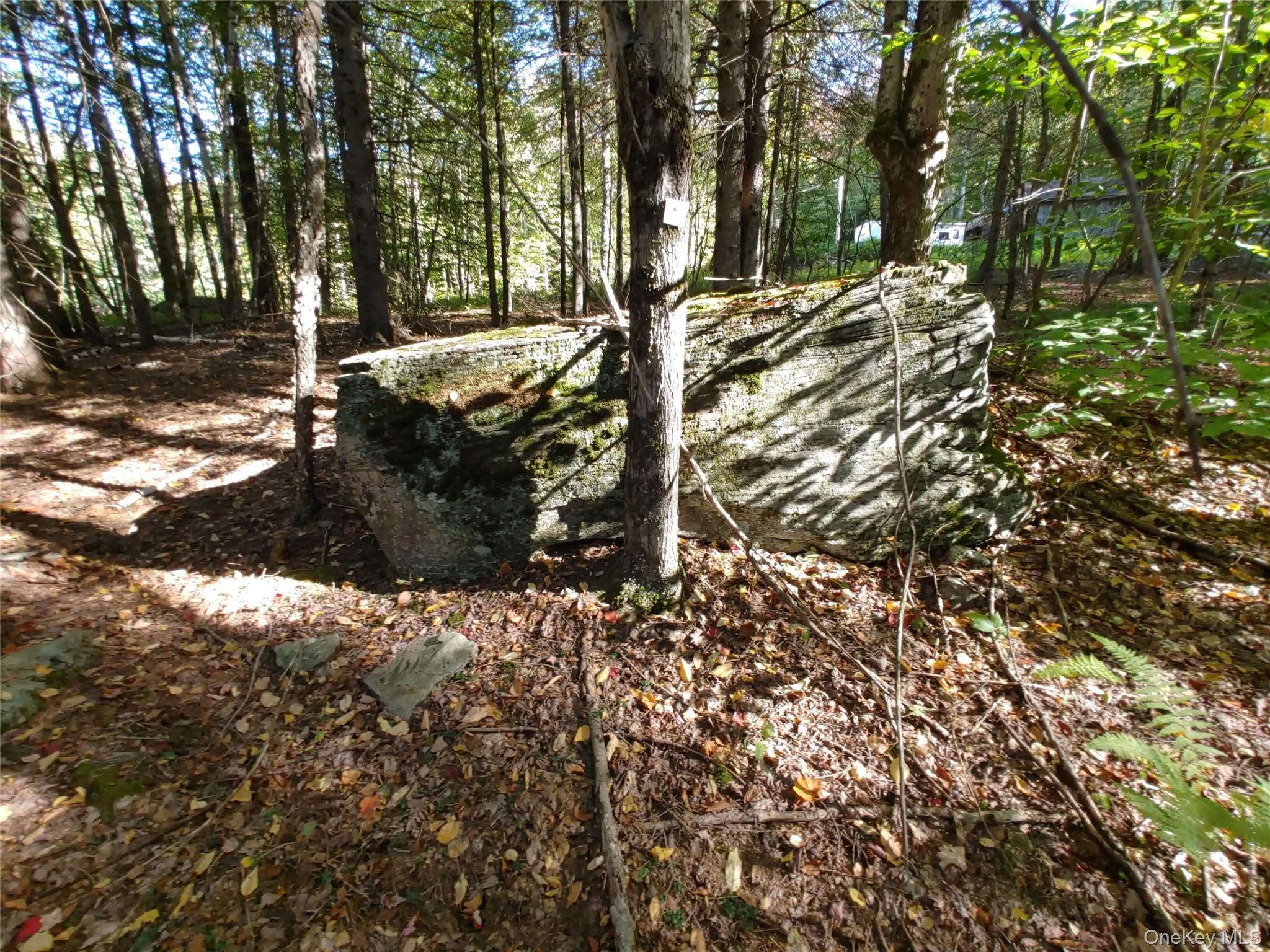 27 Warren Todd Subdivision Drive – For Sale photo 6