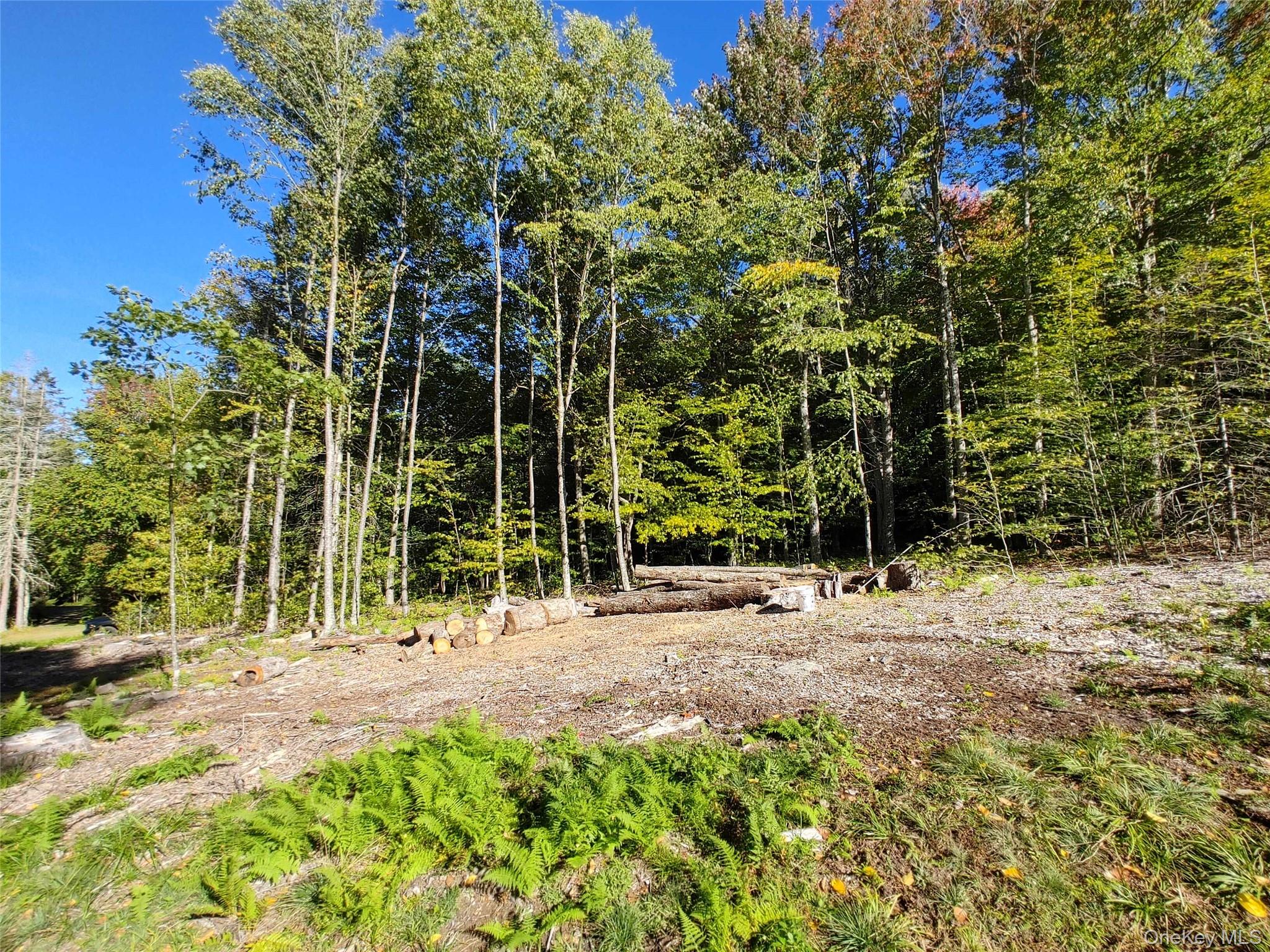 27 Warren Todd Subdivision Drive – For Sale photo 2