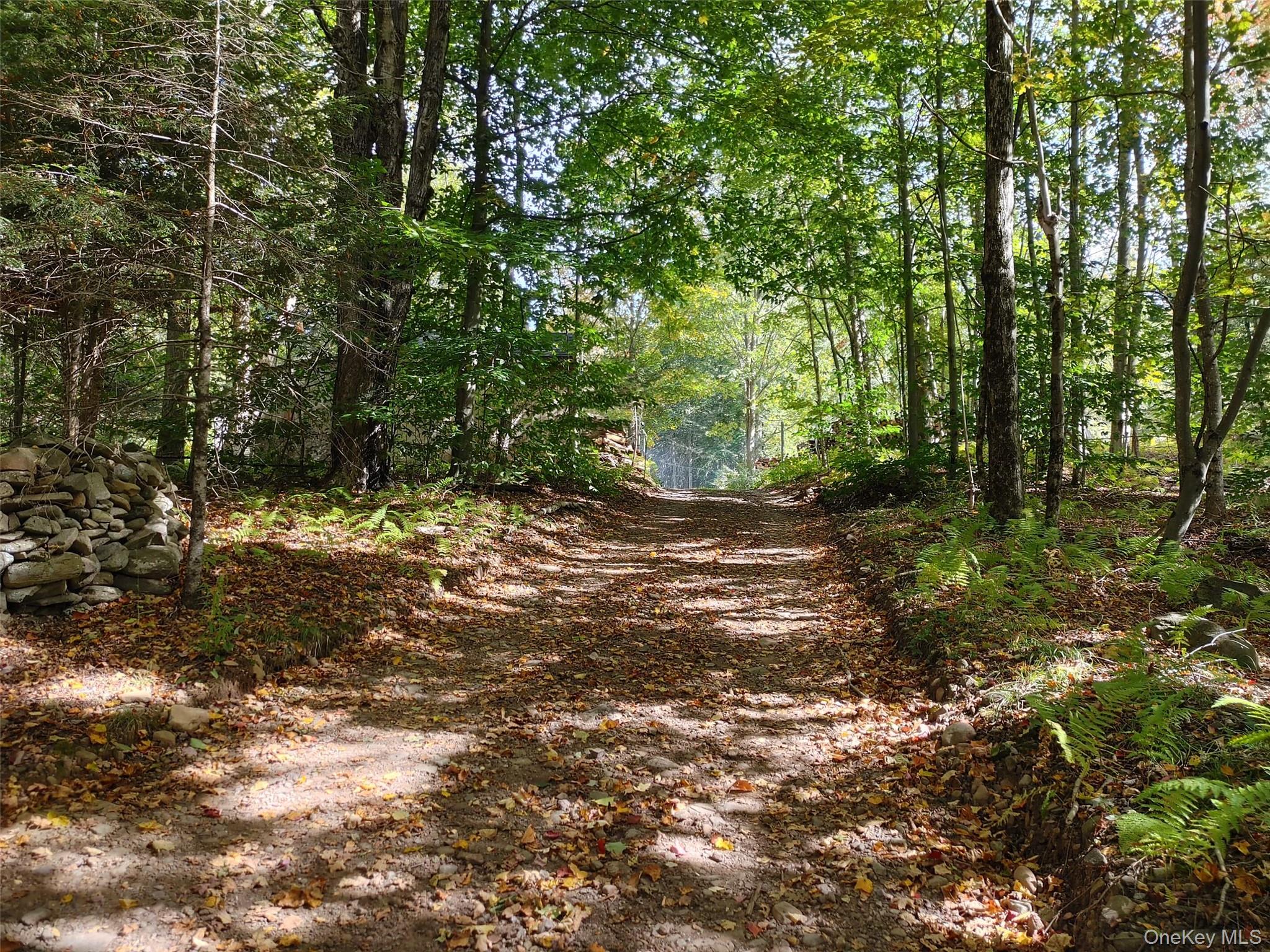 27 Warren Todd Subdivision Drive – For Sale photo 46