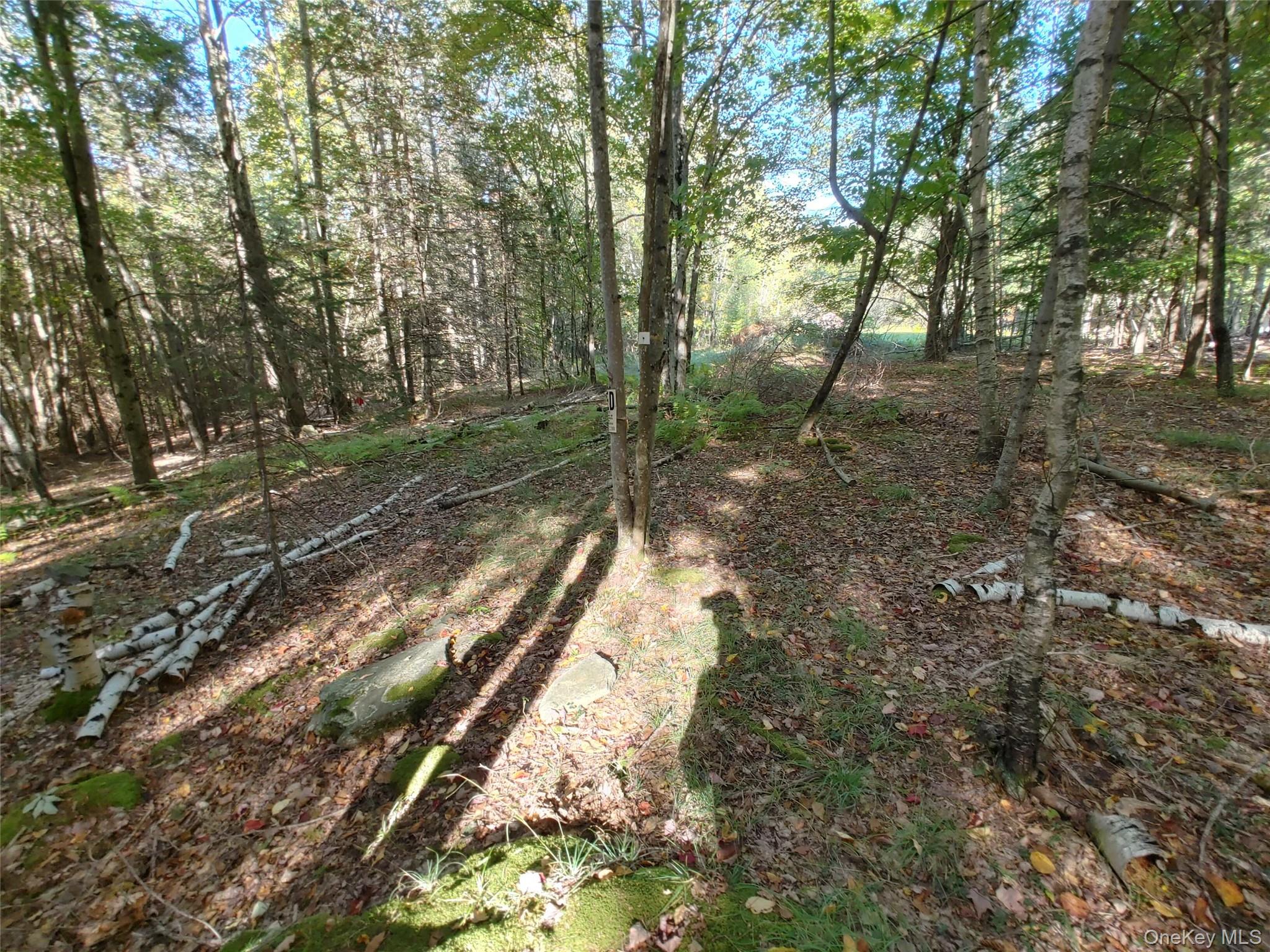 27 Warren Todd Subdivision Drive – For Sale photo 9