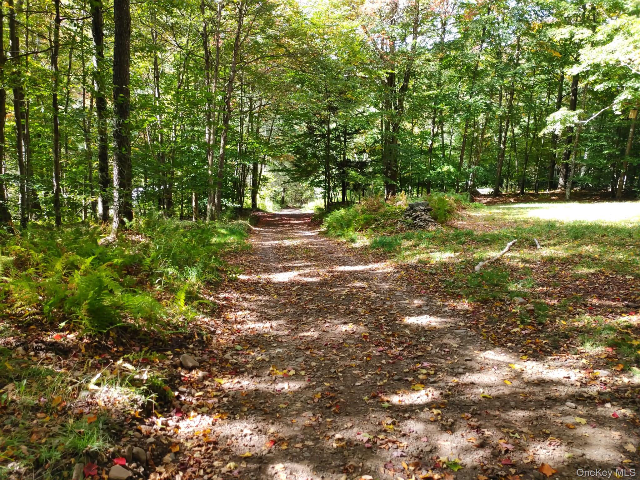 27 Warren Todd Subdivision Drive – For Sale photo 47