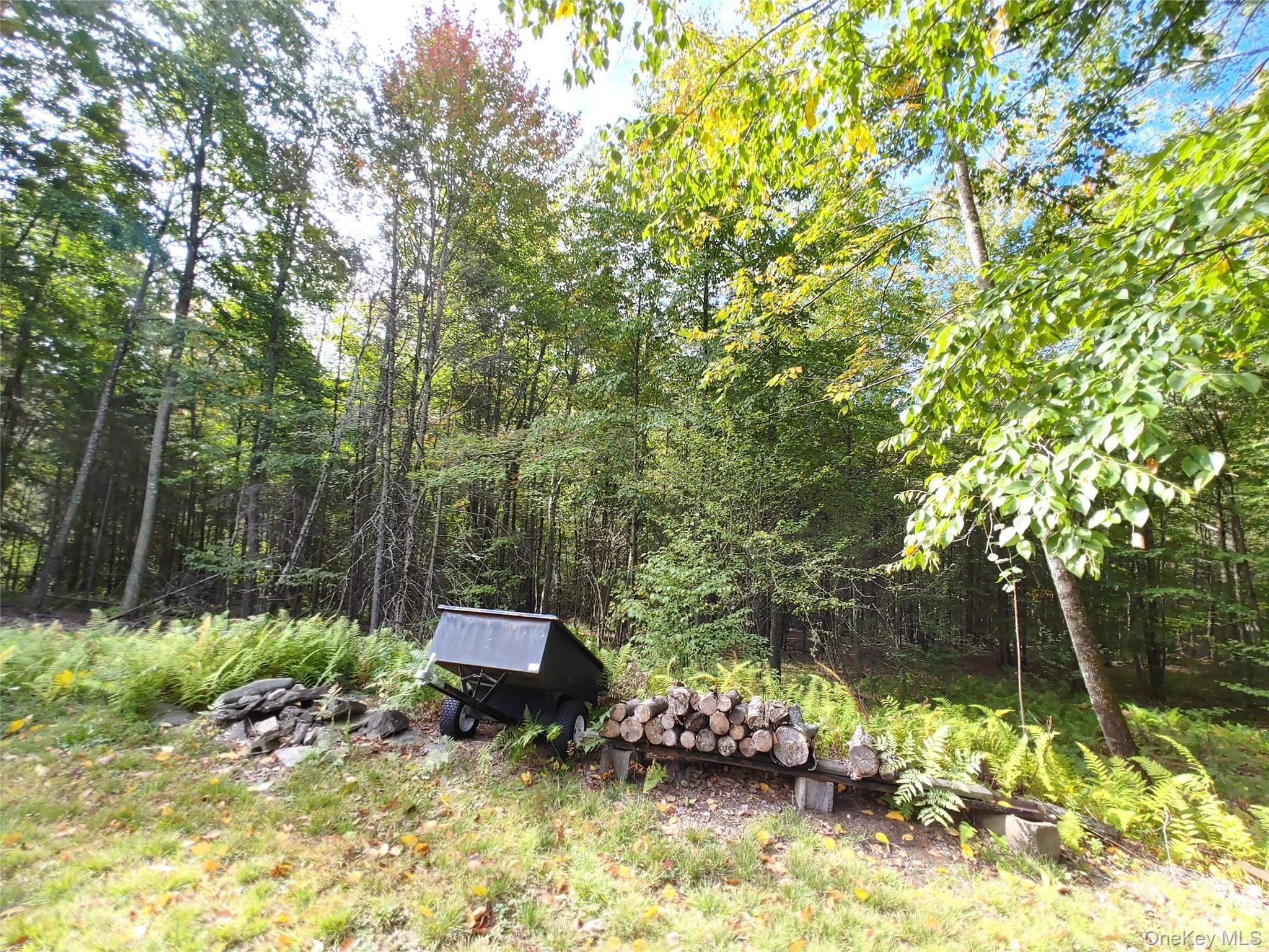27 Warren Todd Subdivision Drive – For Sale photo 31
