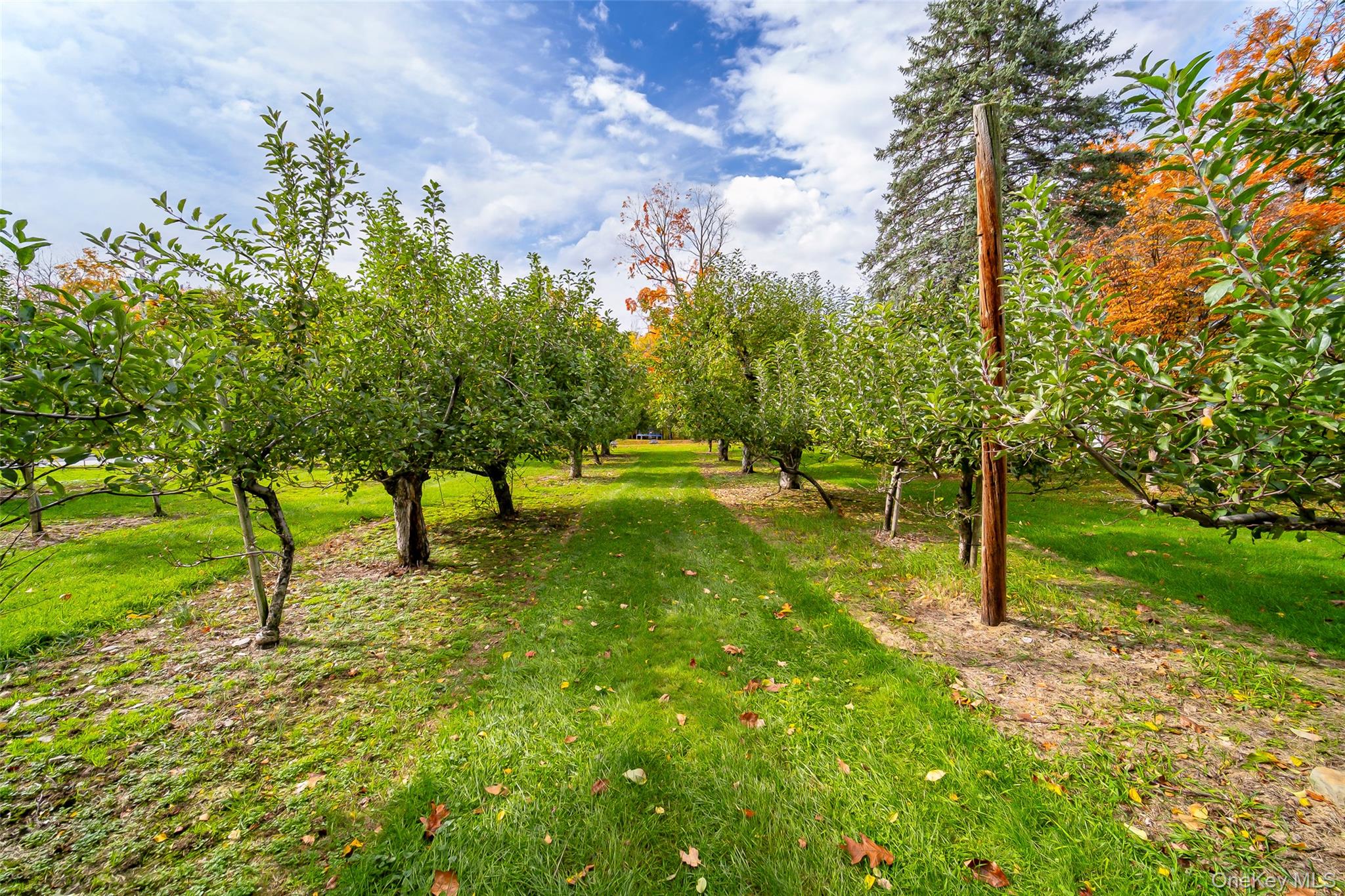 261 Orchard Road – For Sale photo 39