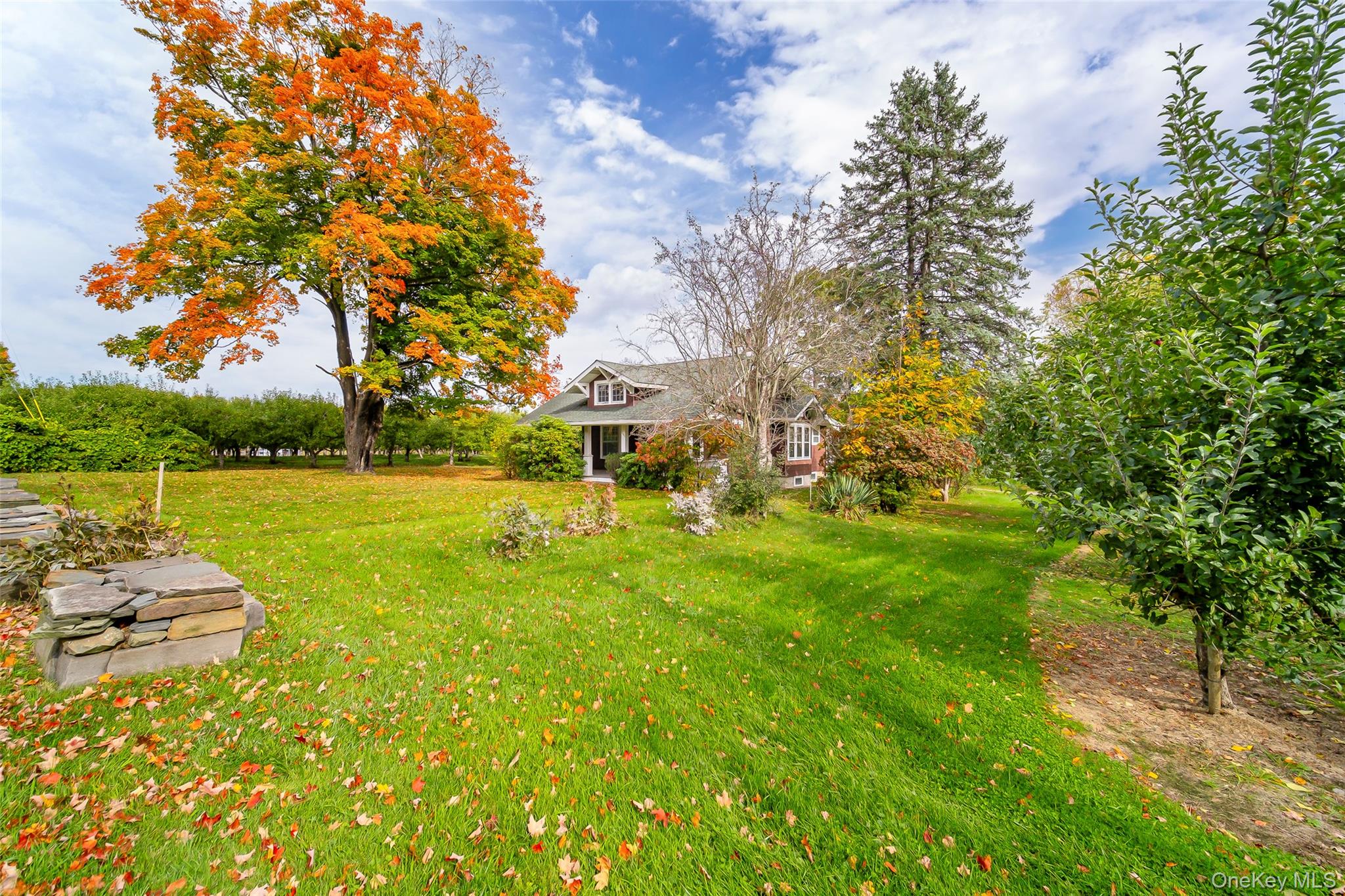 261 Orchard Road – For Sale photo 37