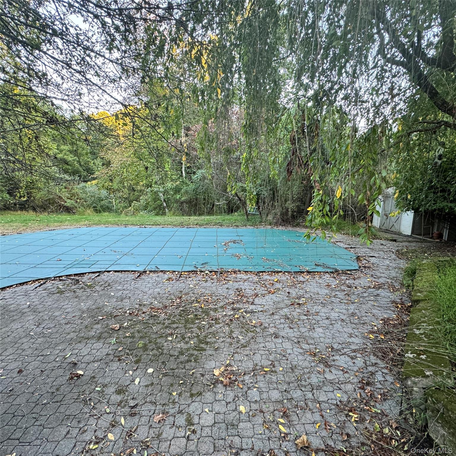 67 Steele Road – For Sale photo 7
