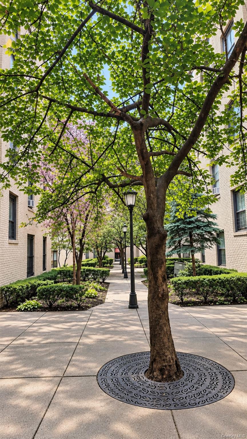 21-38 35th Street, Unit 2C photo 2