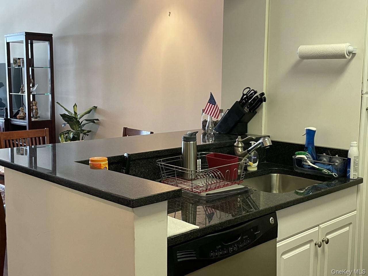 100 New Roc City Place, Unit 417 photo 6