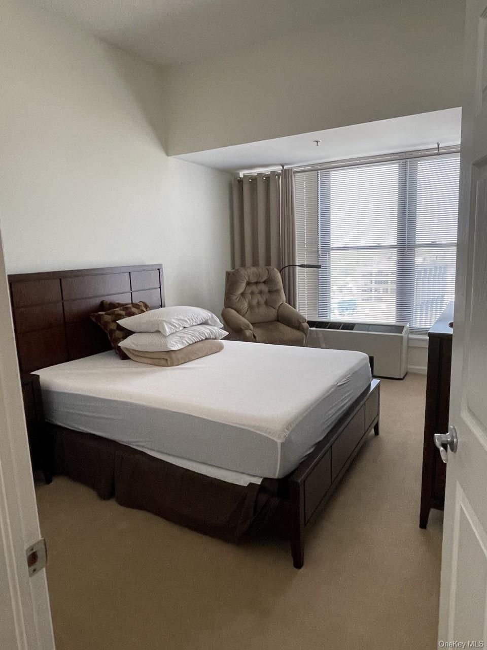 100 New Roc City Place, Unit 417 photo 12