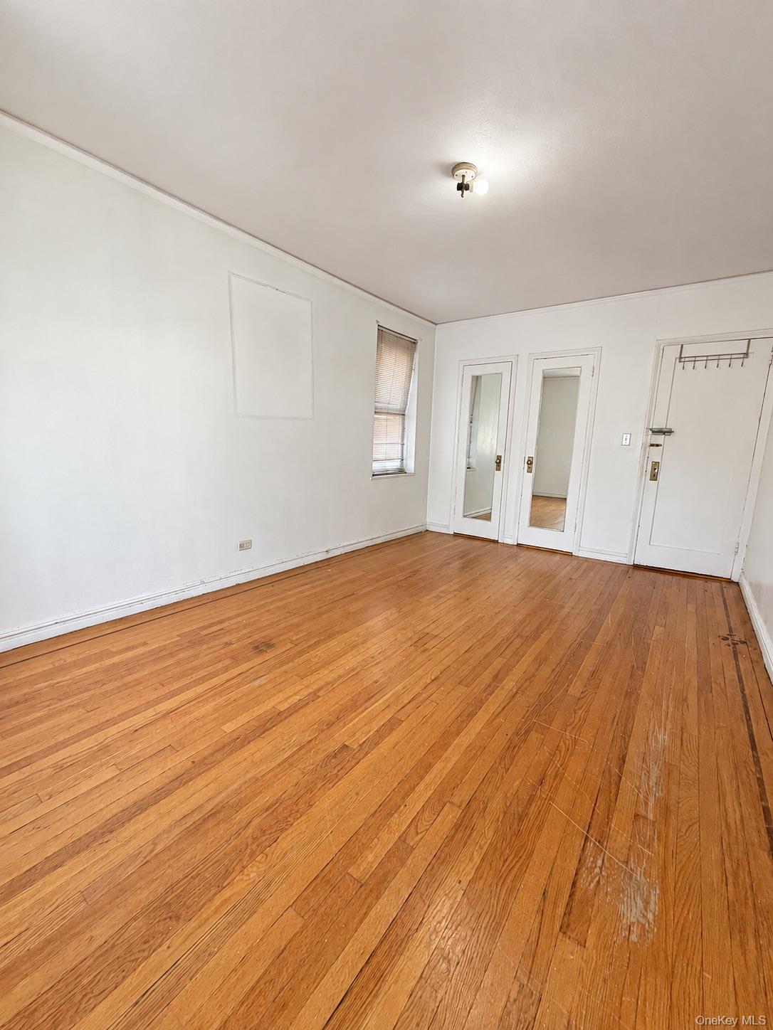 2160 Bronx Park Park, Unit 3B photo 9