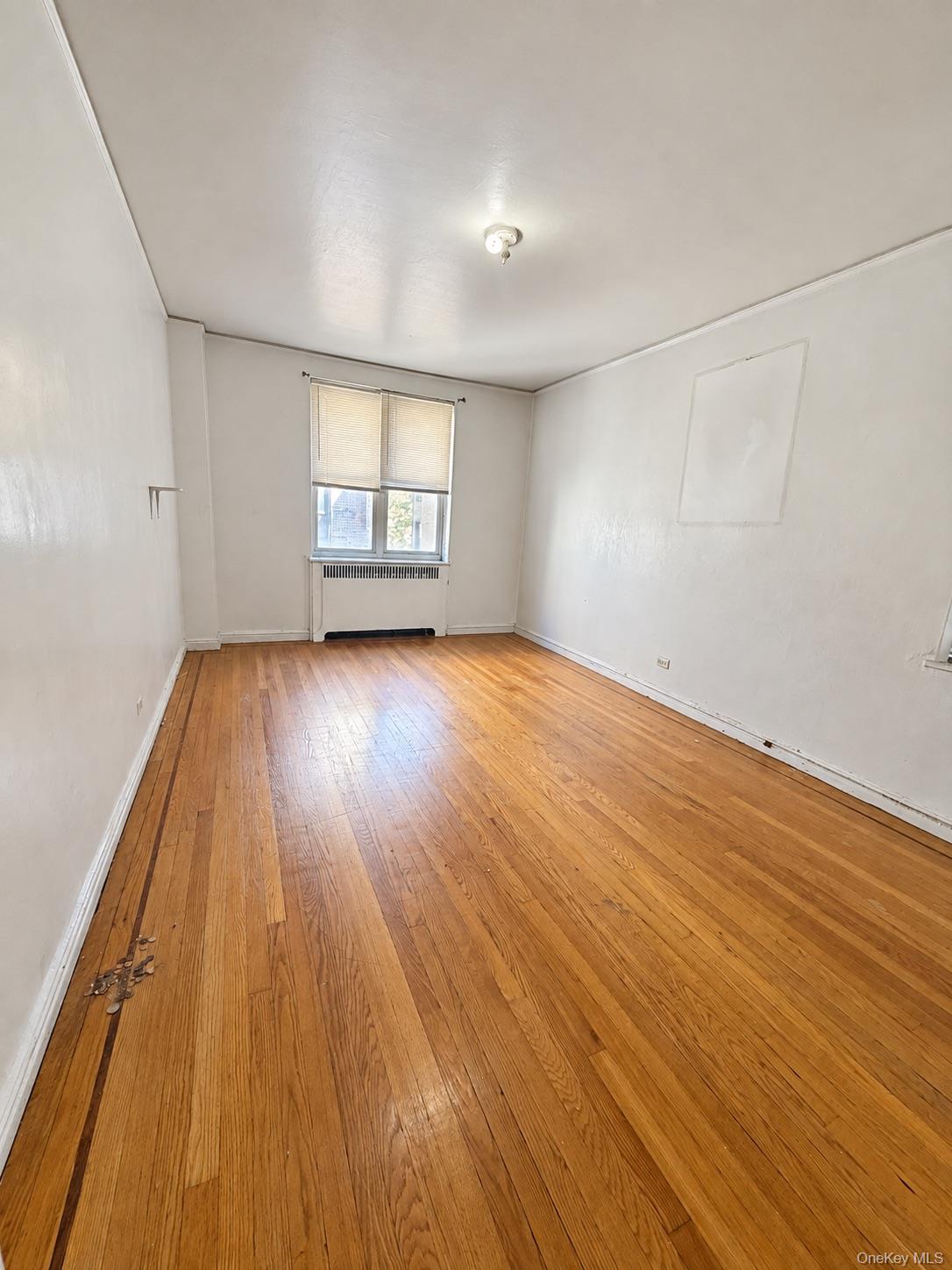 2160 Bronx Park Park, Unit 3B photo 8