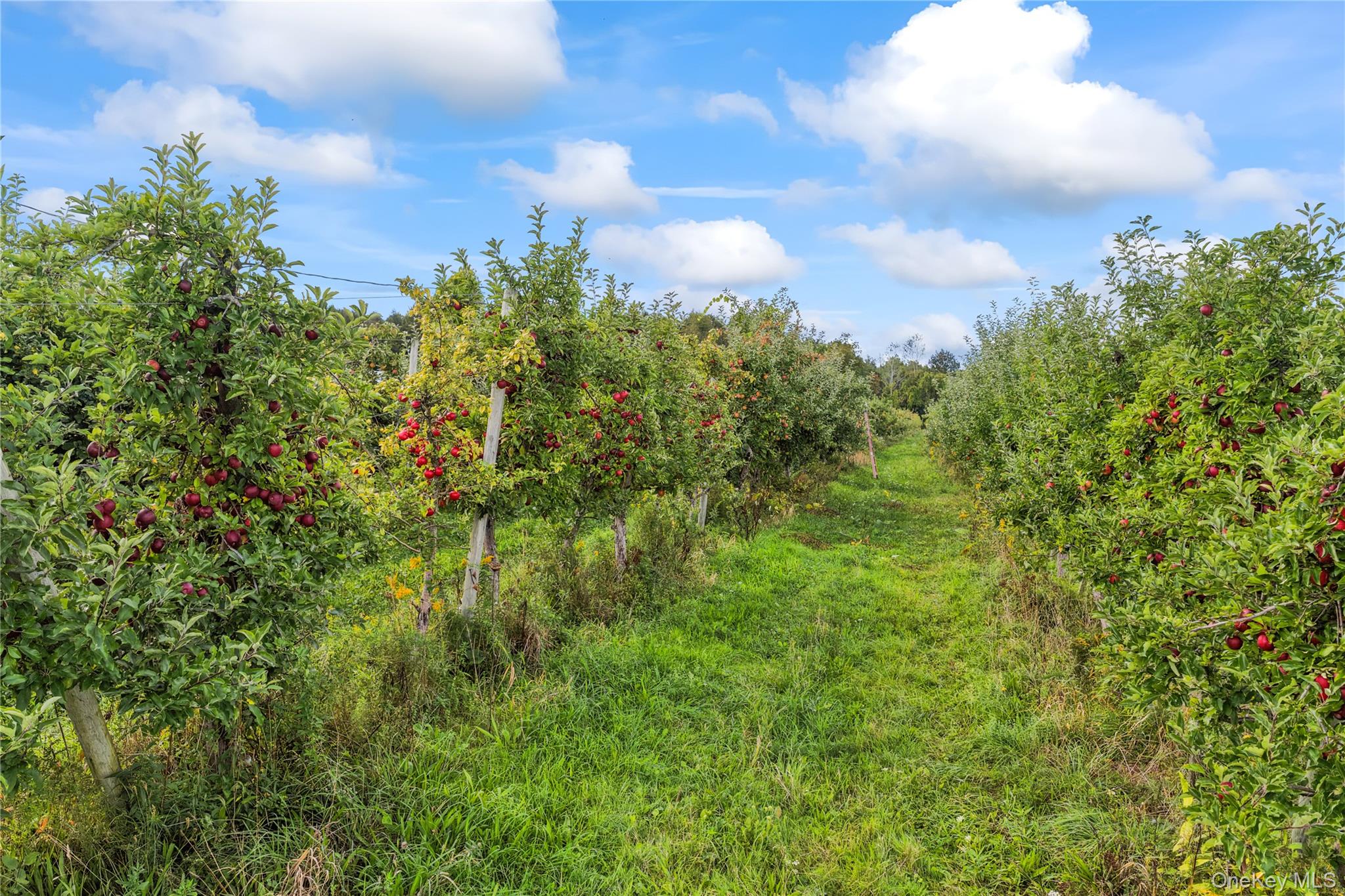 359 Cemetery Rd – For Sale photo 28