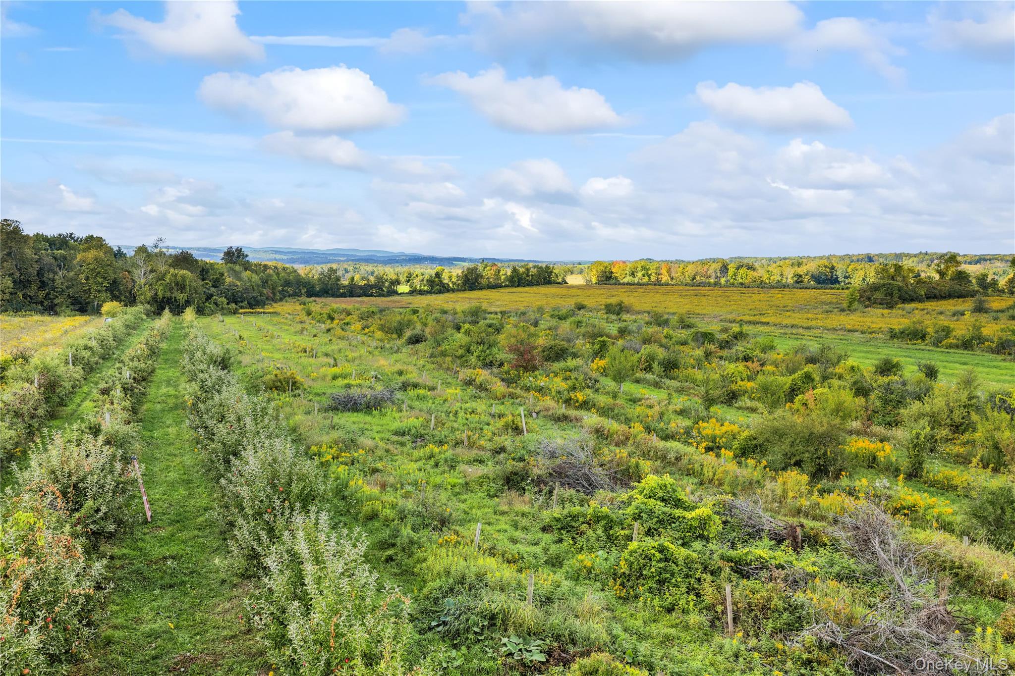 359 Cemetery Rd – For Sale photo 29