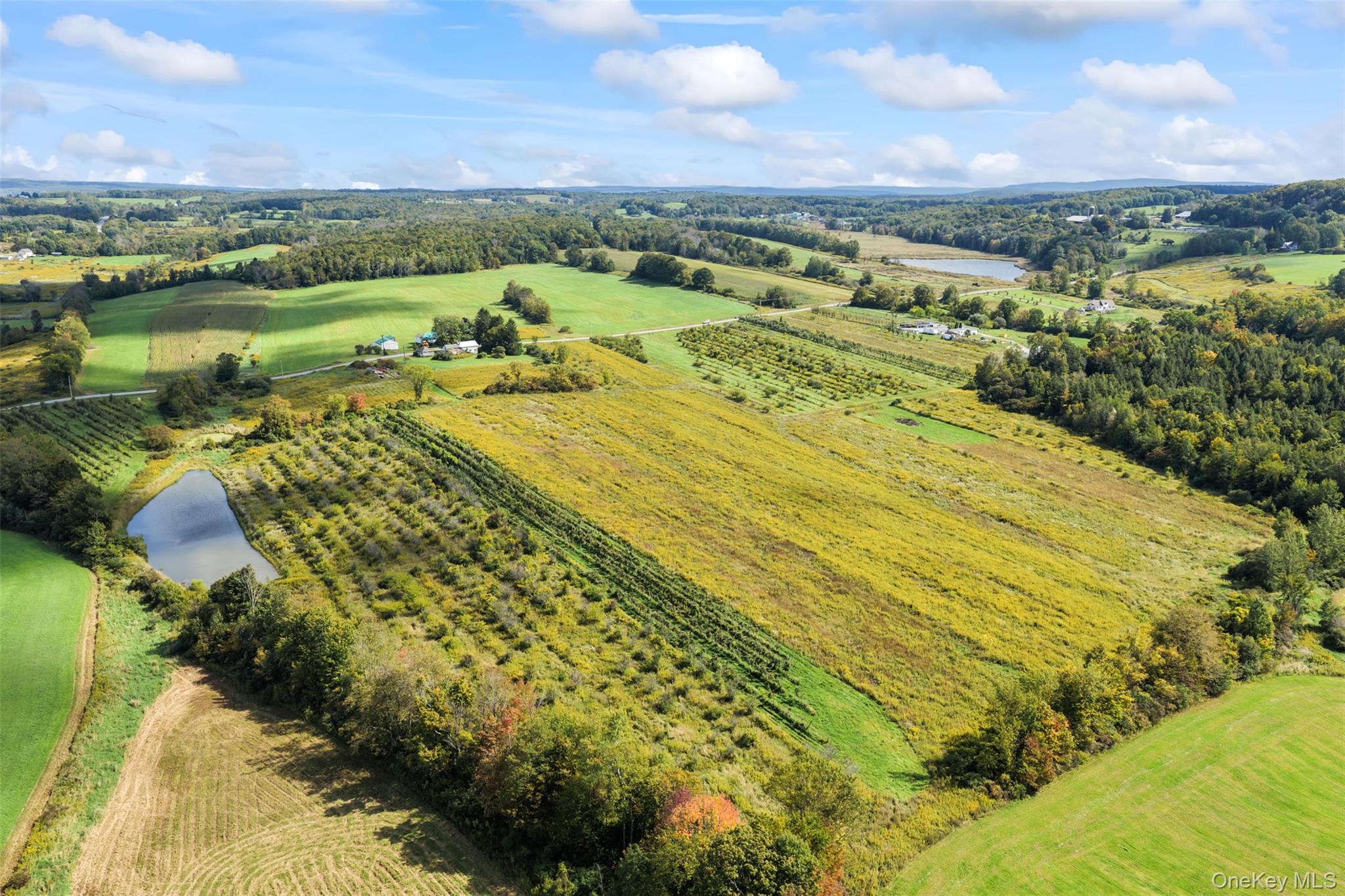 359 Cemetery Rd – For Sale photo 42