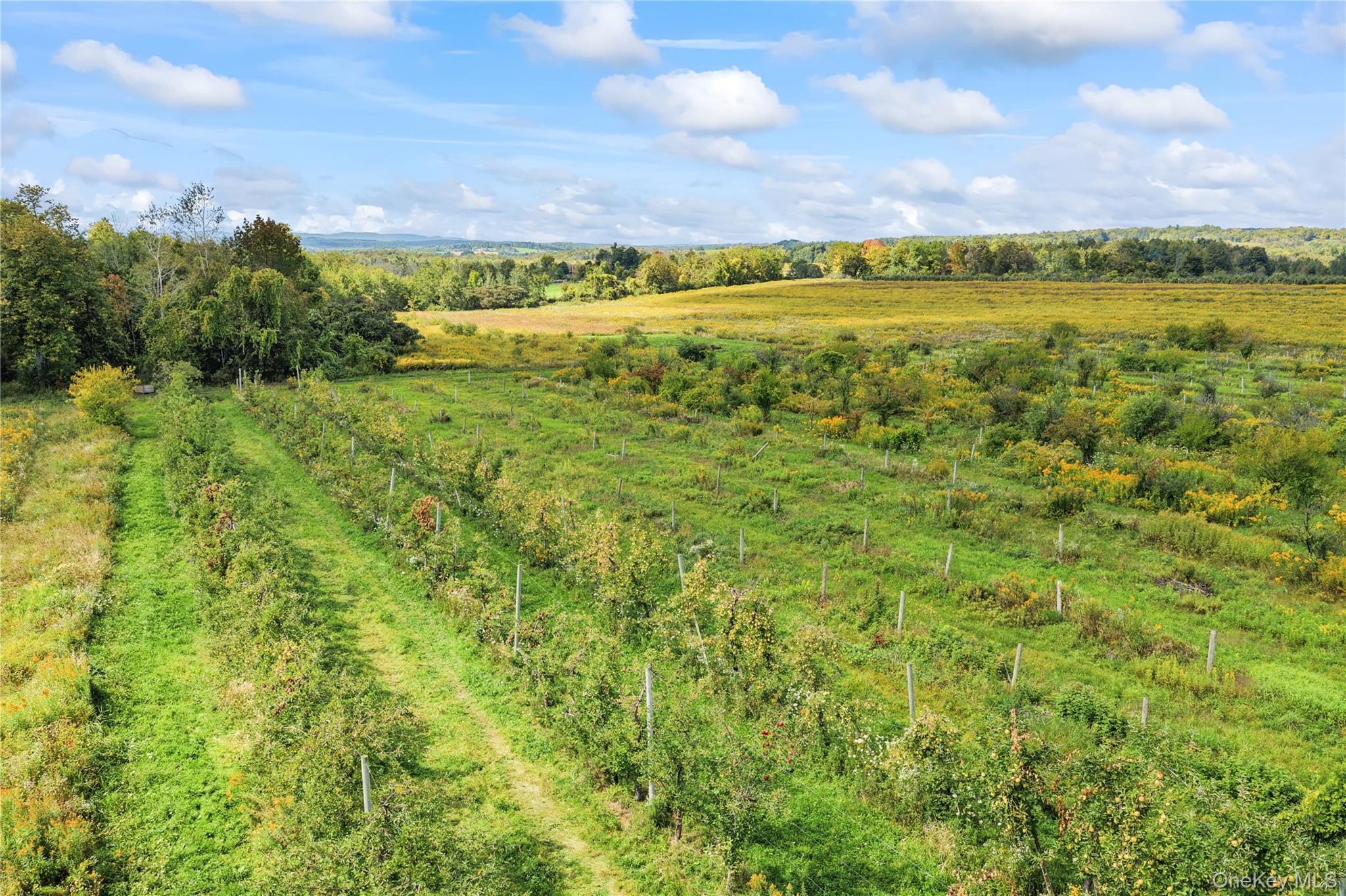 359 Cemetery Rd – For Sale photo 16