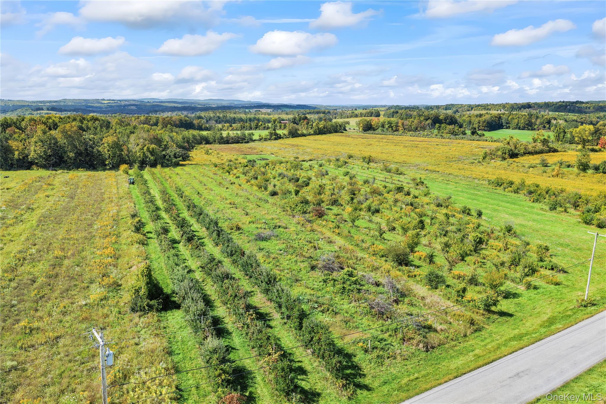 359 Cemetery Rd – For Sale photo 32