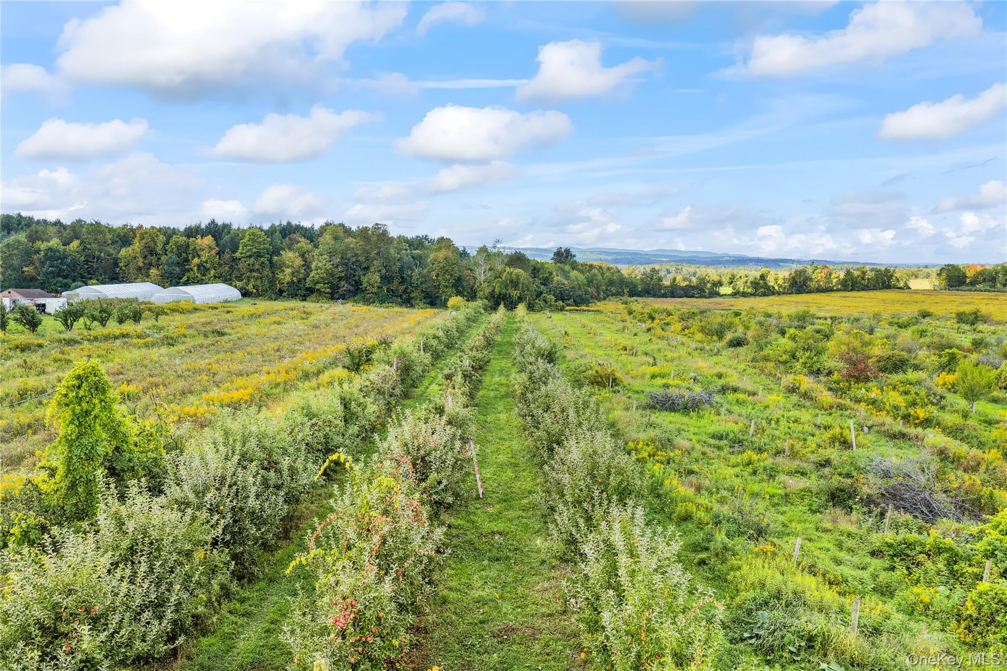359 Cemetery Rd – For Sale photo 27